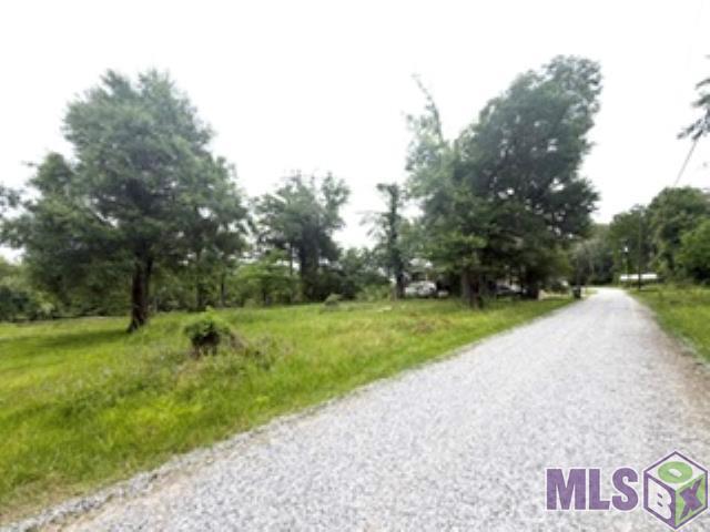 19151 River Bend Road Maurepas, LA 70449 - Photo 1 of 4