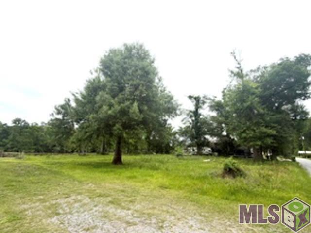 19151 River Bend Road Maurepas, LA 70449 - Photo 4 of 4