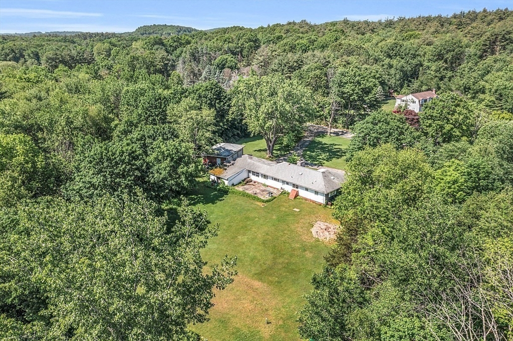 233 West Acton Road Stow, MA 01775 - Photo 35 of 41 a view of a forest with a street