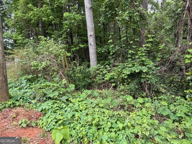0 Johnson Road Palmetto, GA 30268 - Photo 11 of 12