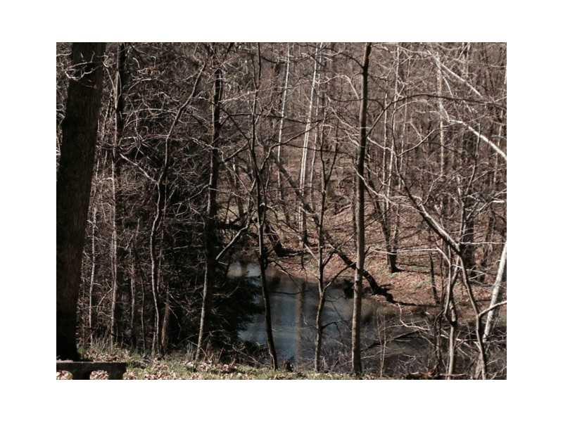 511-515 Wheeling Creek Road Wind Ridge, PA 15380 - Photo 4 of 16 Land/Lot.