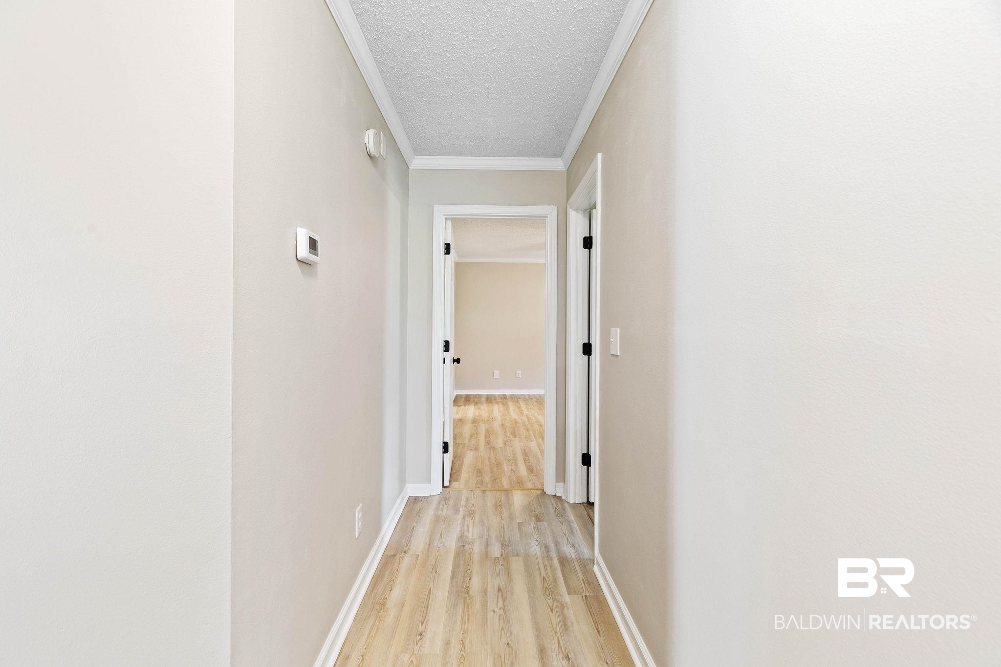 35650 Spring Road North Stapleton, AL 36578 - Photo 32 of 70 Hall with ornamental molding, light wood-type flooring, and a textured ceiling