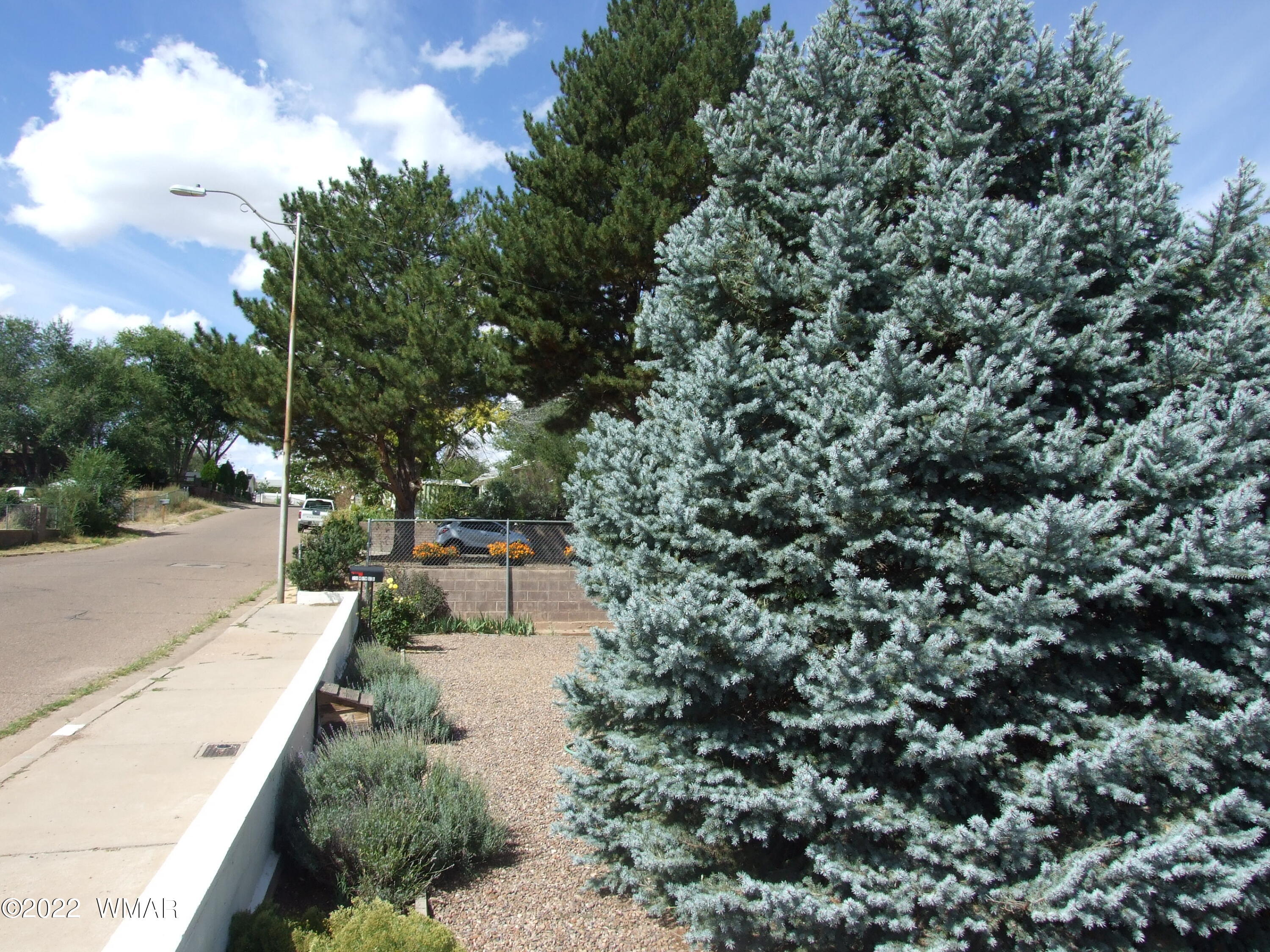 250 West 8th S Street Snowflake, AZ 85937 - Photo 4 of 35