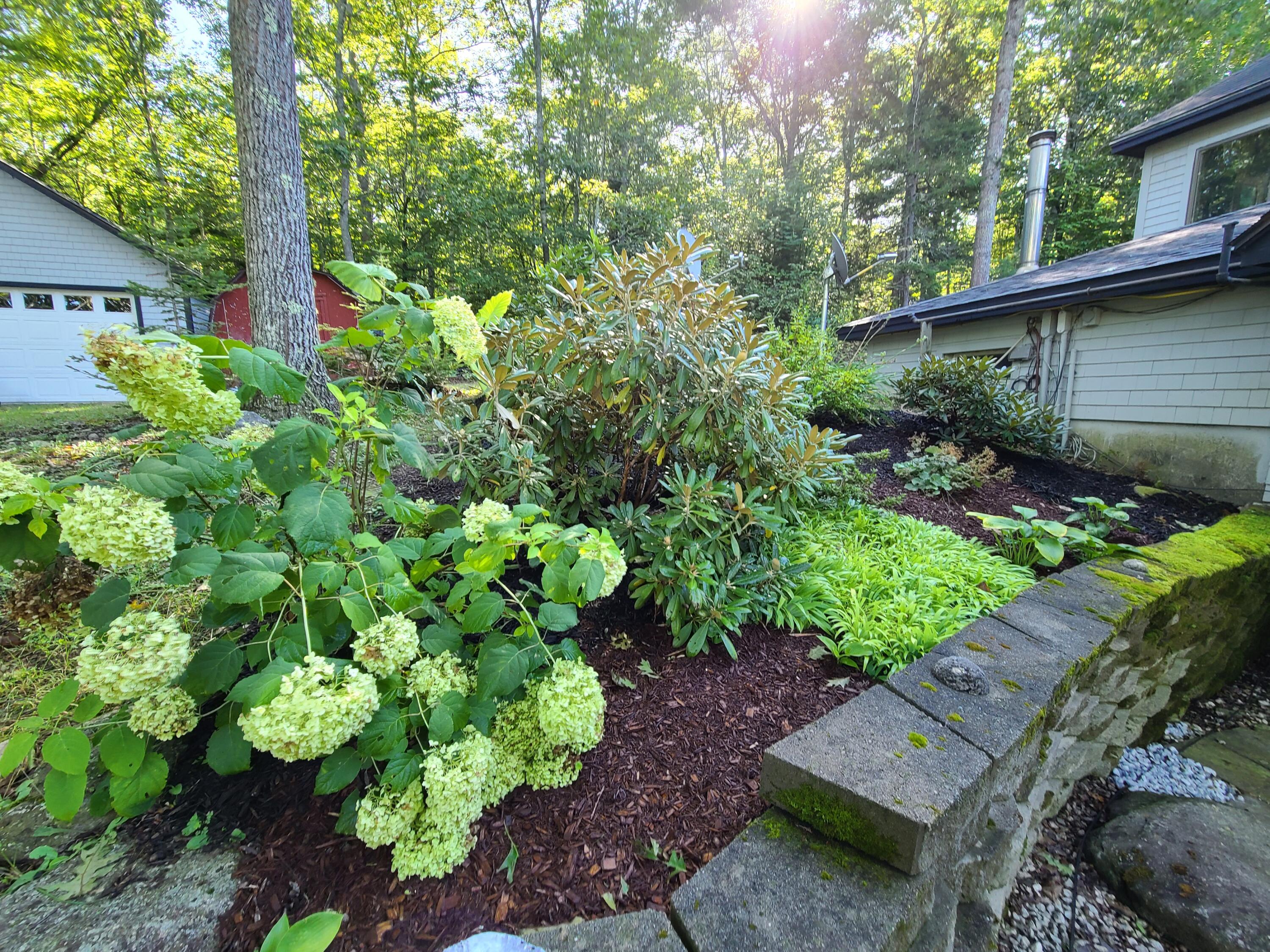 112 John Nute Road Penobscot, ME 04476 - Photo 16 of 58 Flower Gardens