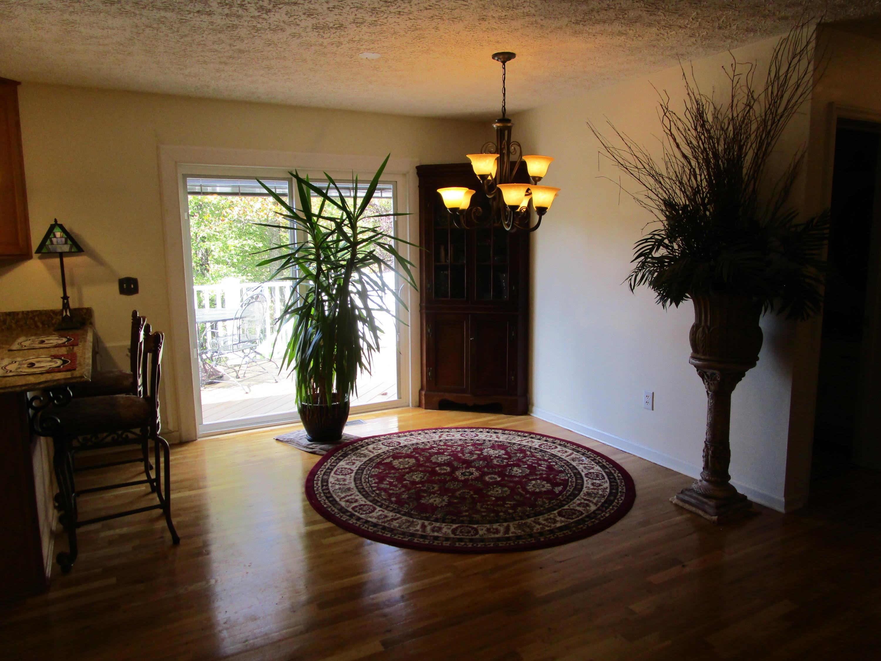 520 Green Level Road Boones Mill, VA 24065 - Photo 17 of 43 a view of a living room with a fireplace and potted plants
