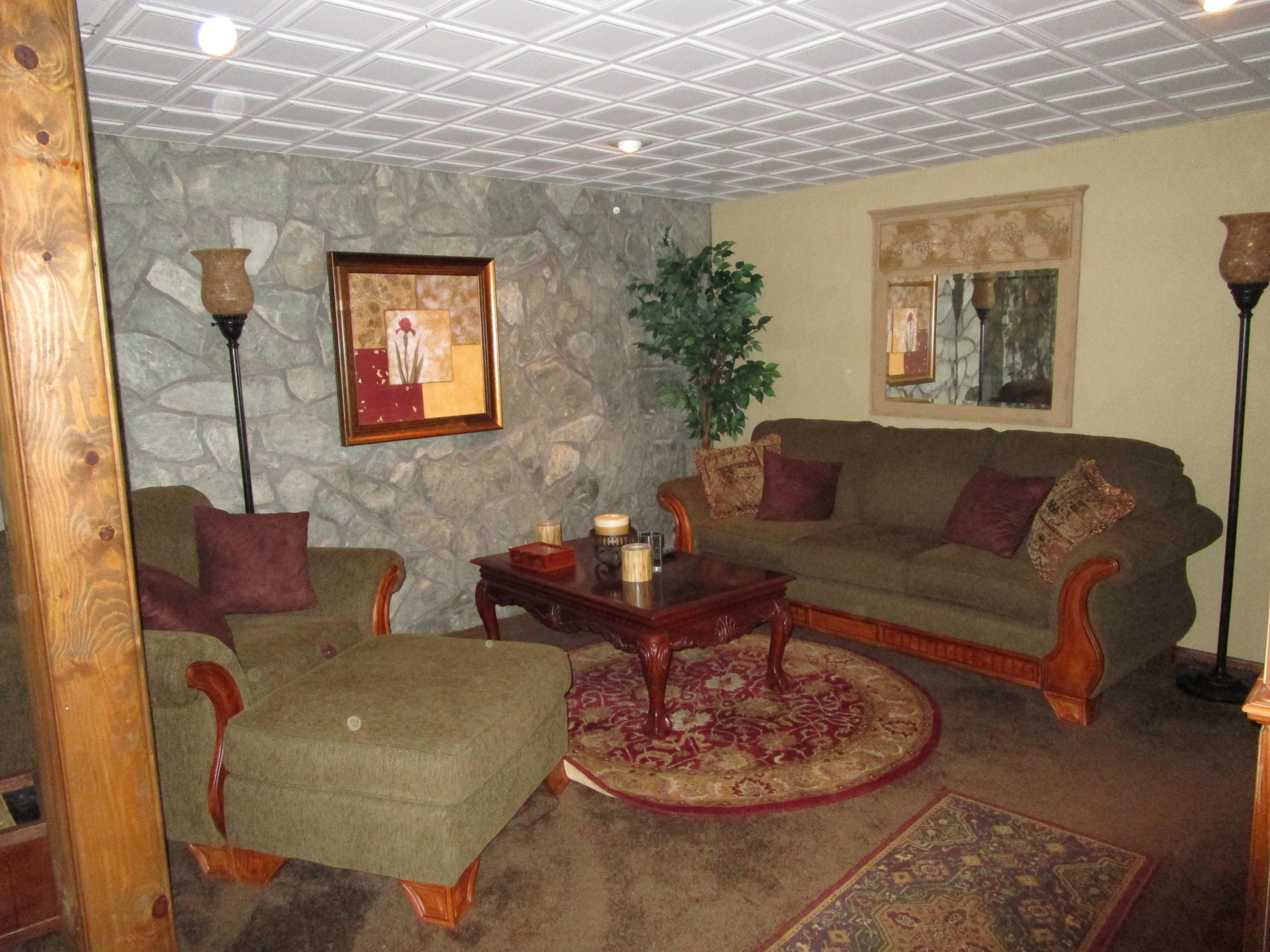 520 Green Level Road Boones Mill, VA 24065 - Photo 26 of 43 a living room with furniture and a potted plant