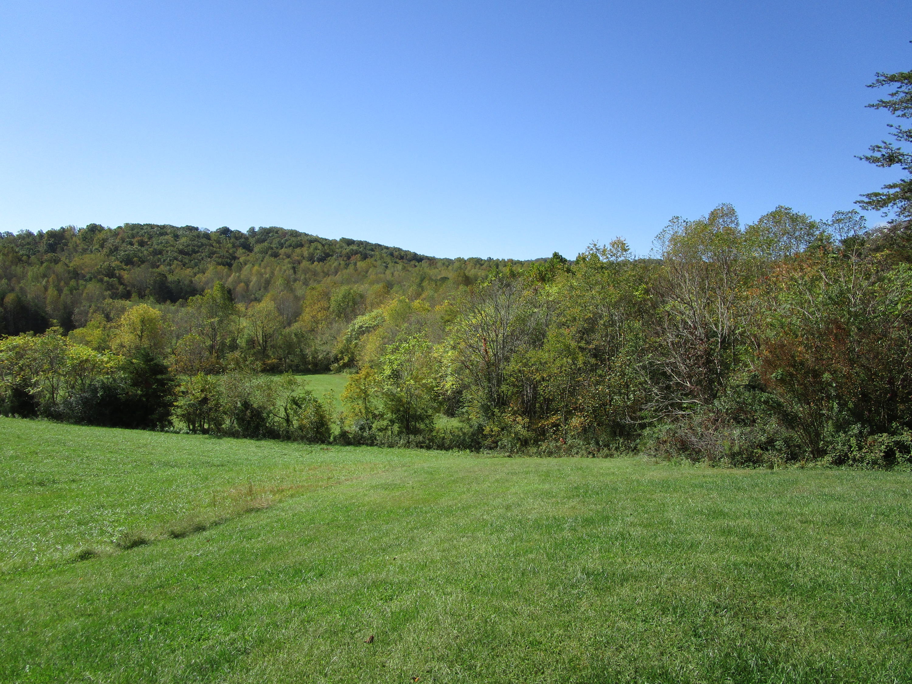 520 Green Level Road Boones Mill, VA 24065 - Photo 4 of 43 a view of a lush green outdoor space with a lake view