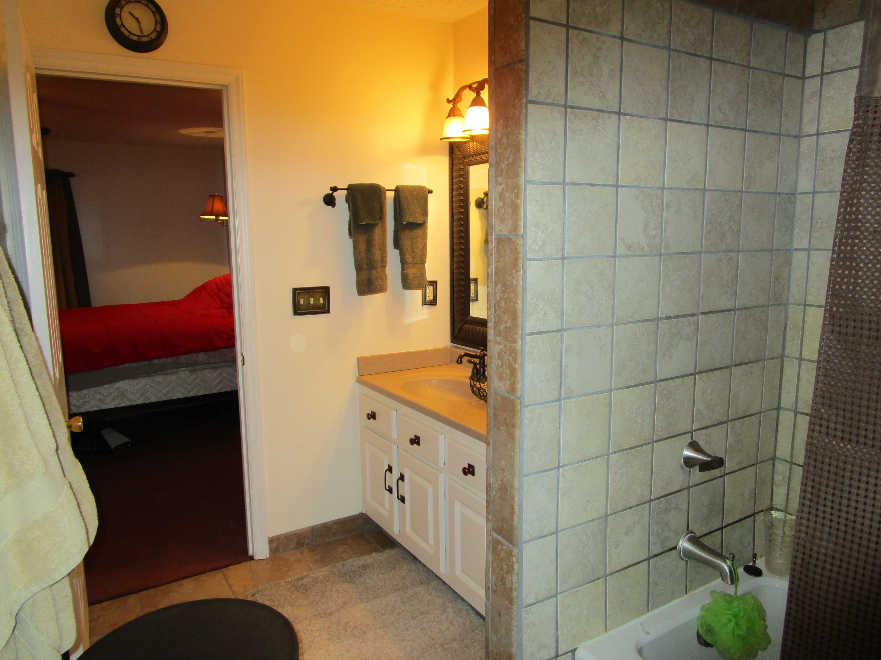 520 Green Level Road Boones Mill, VA 24065 - Photo 32 of 43 a bathroom with a double vanity shower and a sink