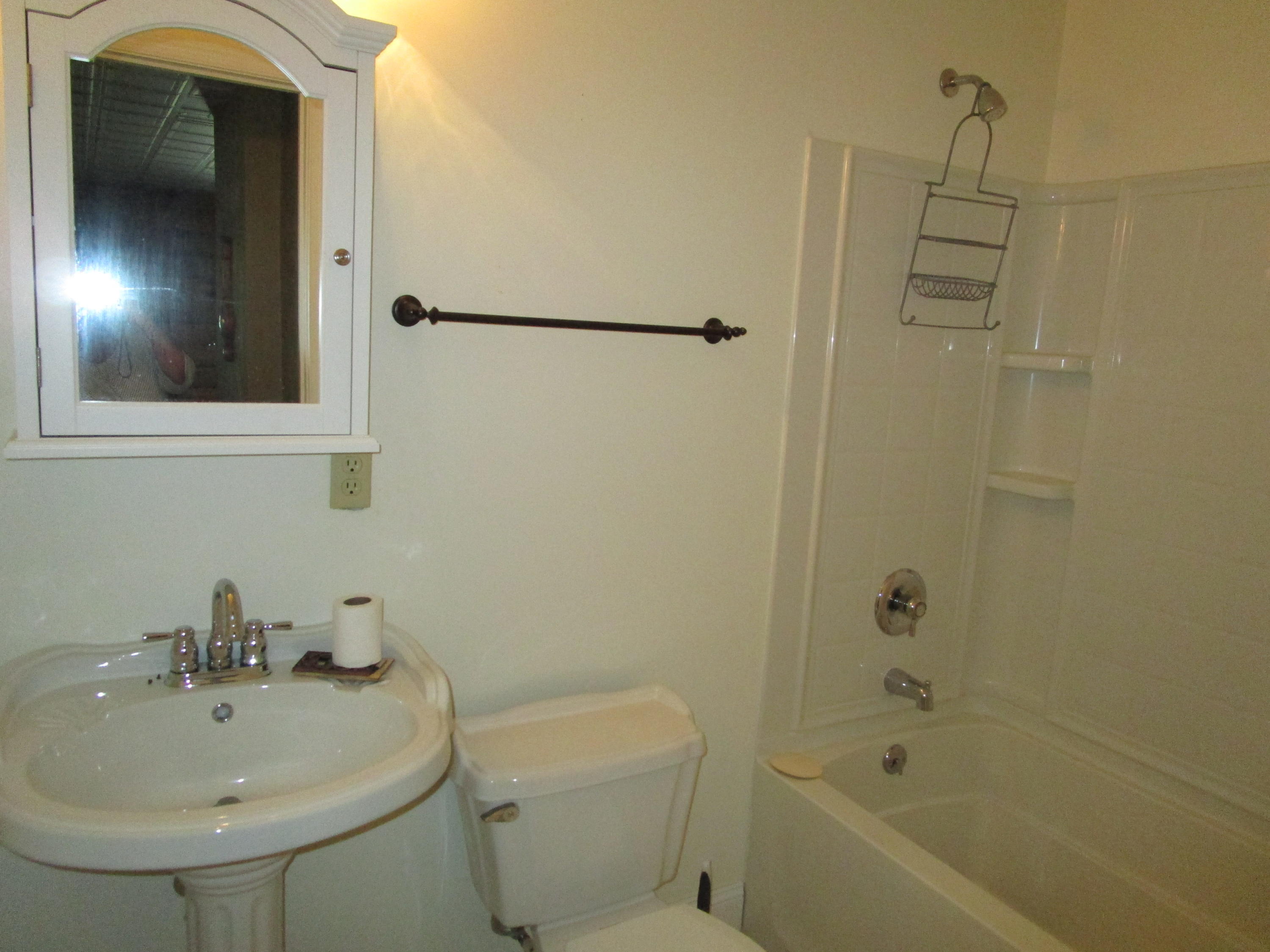 520 Green Level Road Boones Mill, VA 24065 - Photo 35 of 43 a bathroom with a sink a toilet and shower