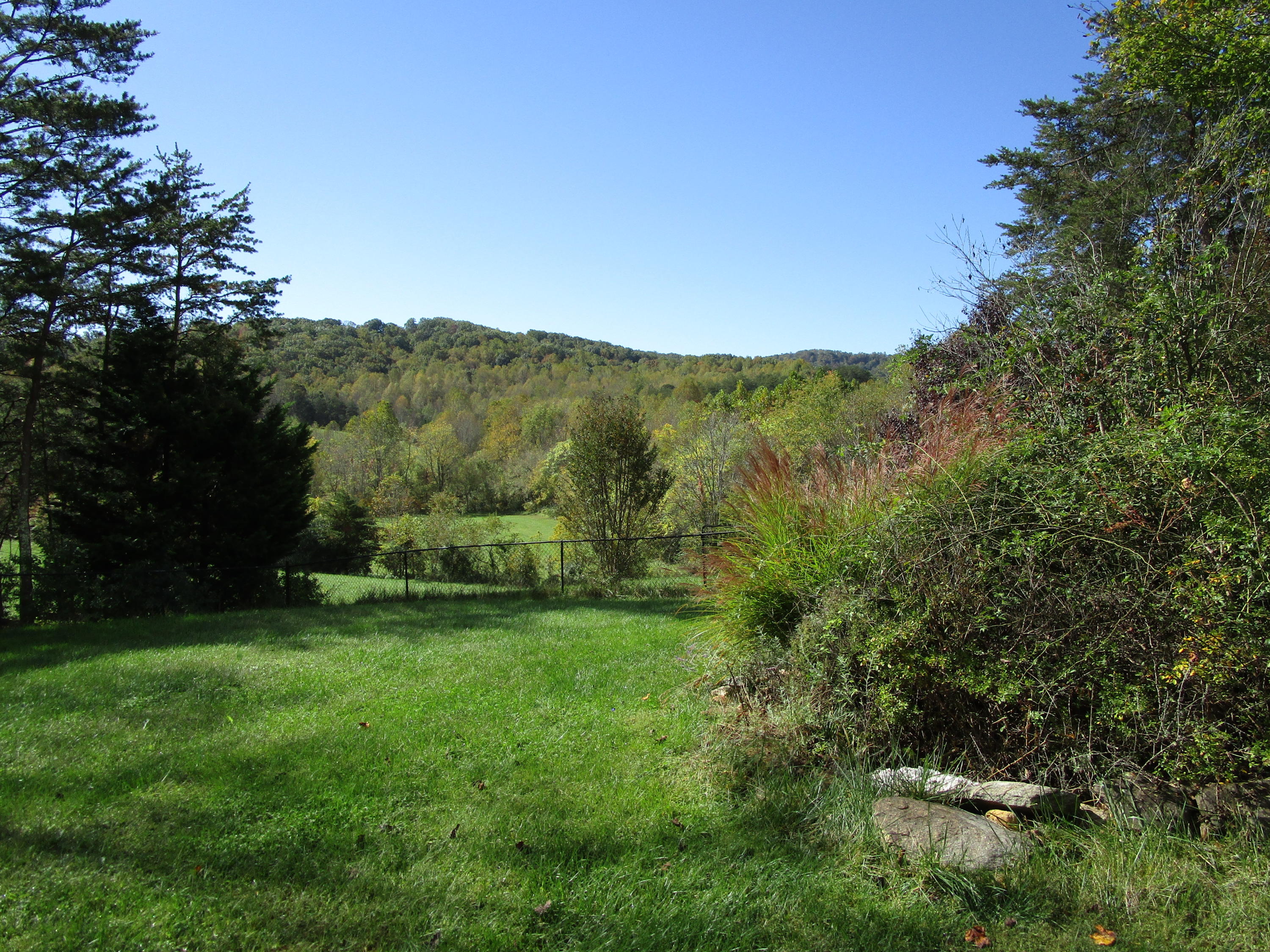 520 Green Level Road Boones Mill, VA 24065 - Photo 7 of 43 a view of a lush green space with sea