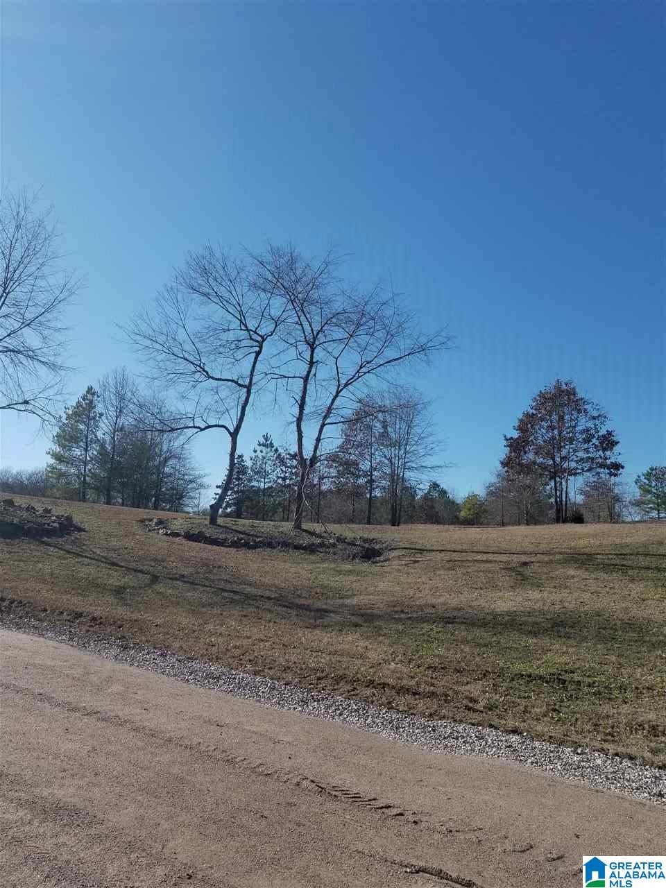 4930 Mt Olive Road Gardendale, AL 35071 - Photo 11 of 14