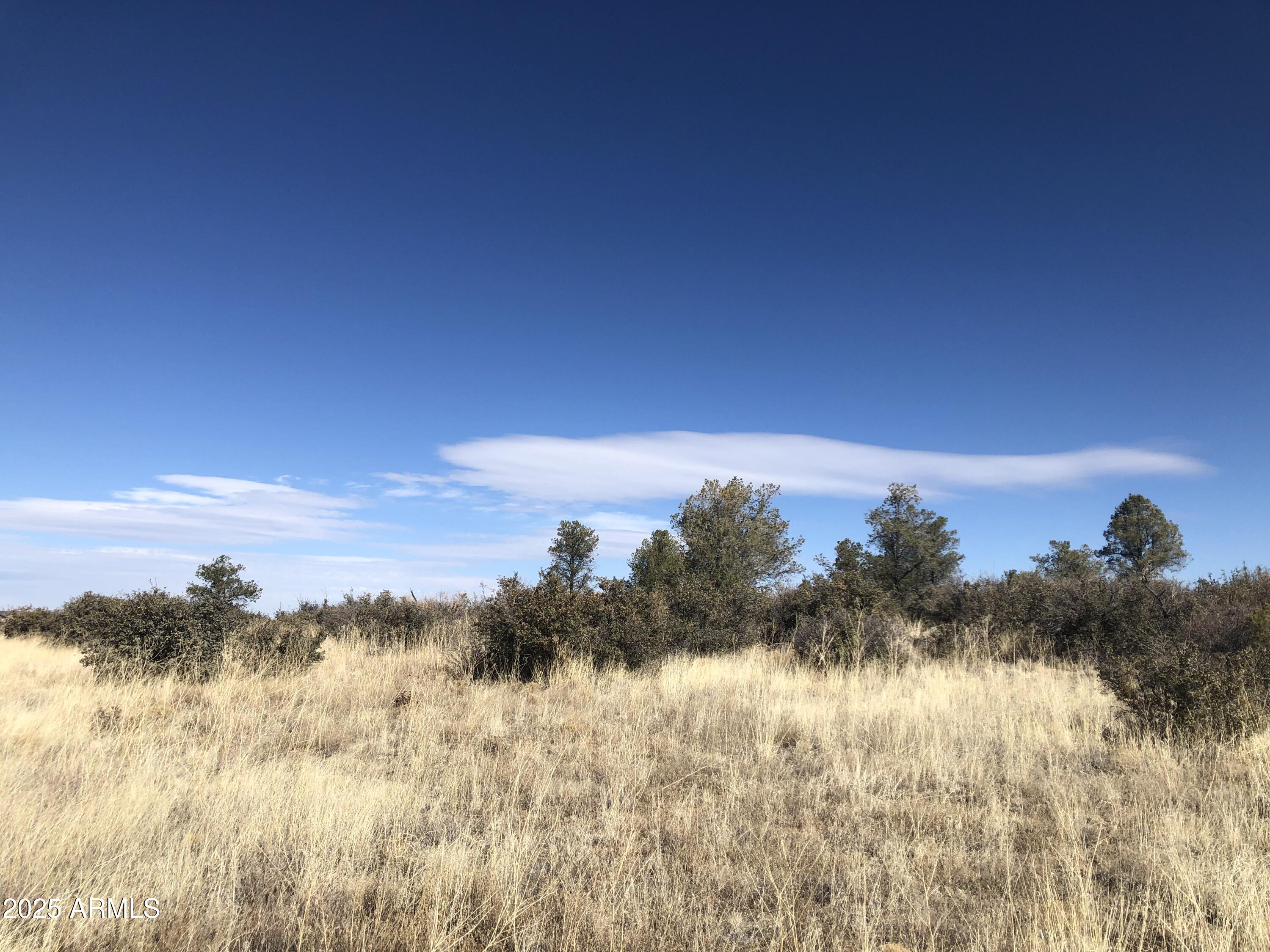 9565 North Equine Road, Unit 203 Prescott, AZ 86305 - Photo 9 of 29 Property 4