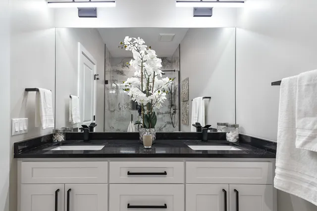 a bathroom with a sink a mirror and a shower