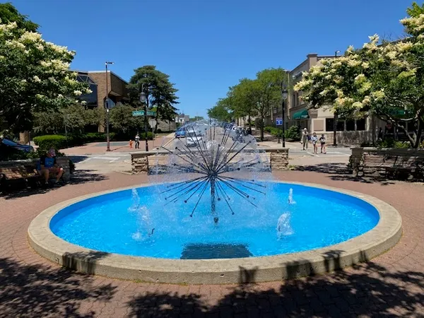 $1,685 | 5s100 Pebblewood Lane, Unit D2, Naperville, IL 60563