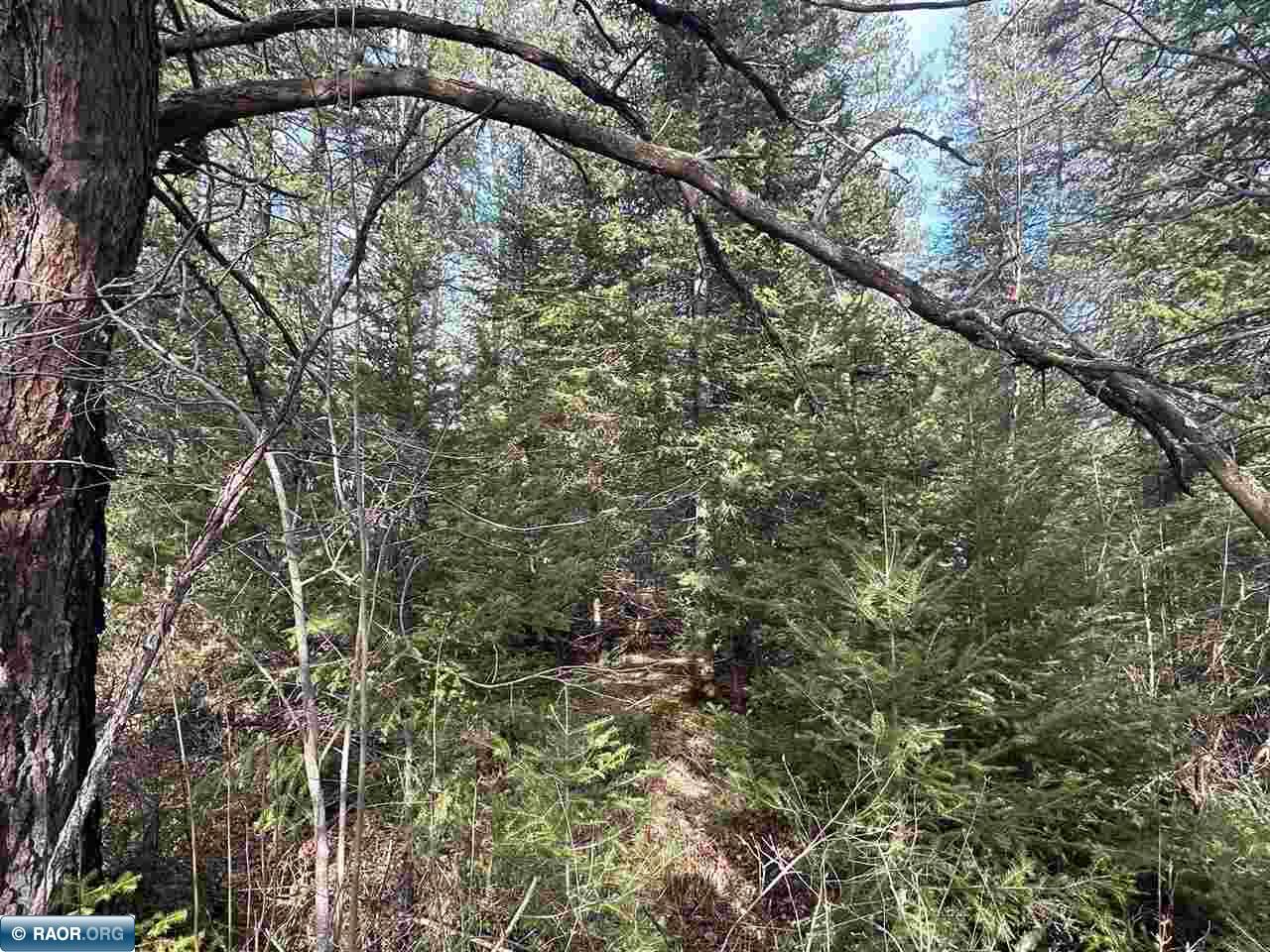Tbd Pulkinen Road Embarrass, MN 55732 - Photo 13 of 15