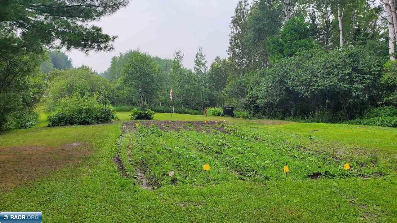 8803 State Highway 1 Cook, MN 55723 - Photo 18 of 25
