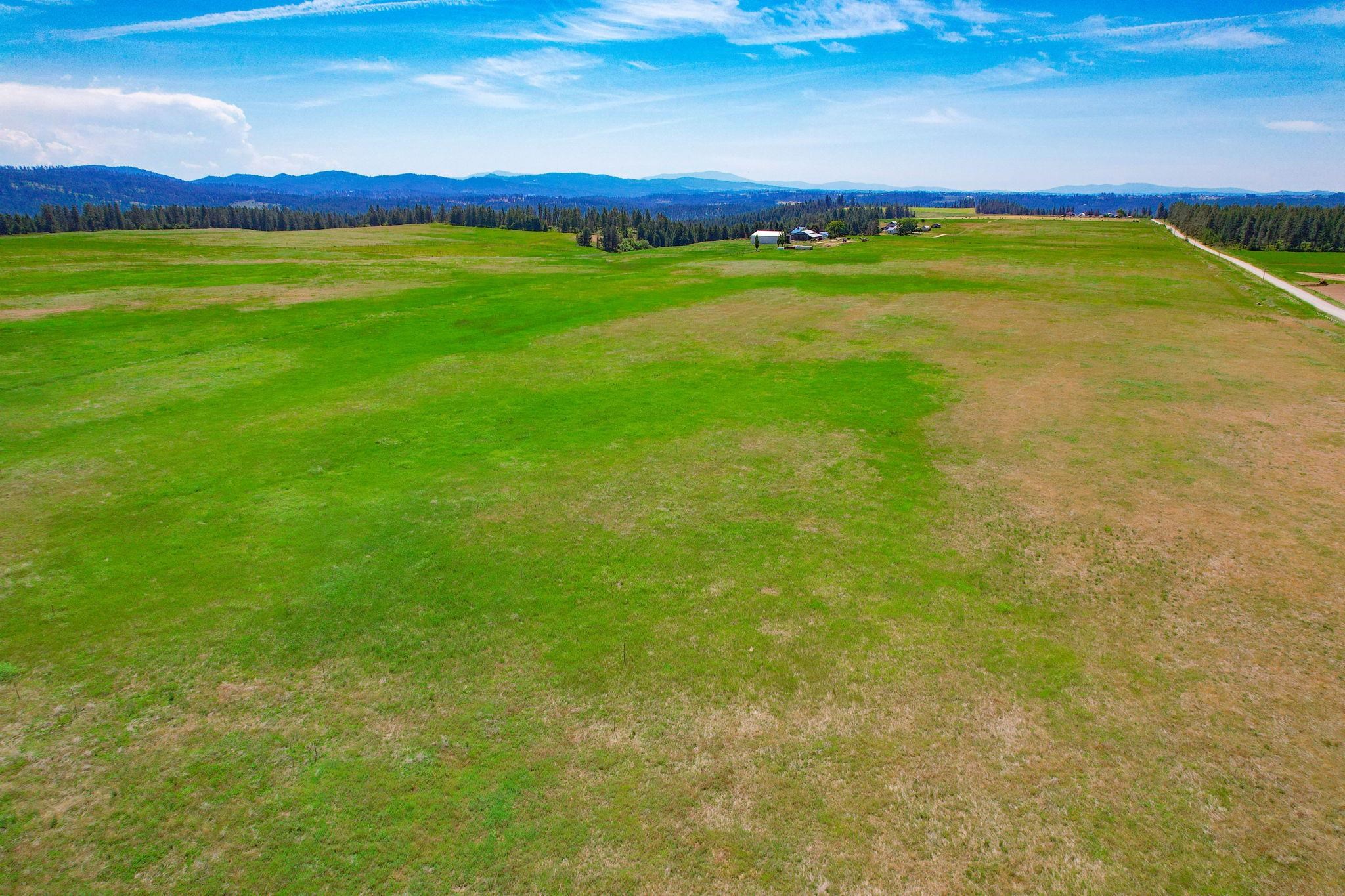 L7 North Orchard Bluff Road Chattaroy, WA 99003 - Photo 11 of 18 Gallery Image 11