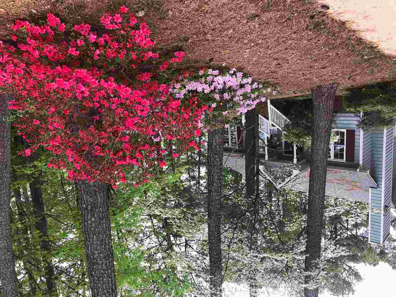 4604 Bayspring Lane Raleigh, NC 27613 - Photo 3 of 5 Photo 3