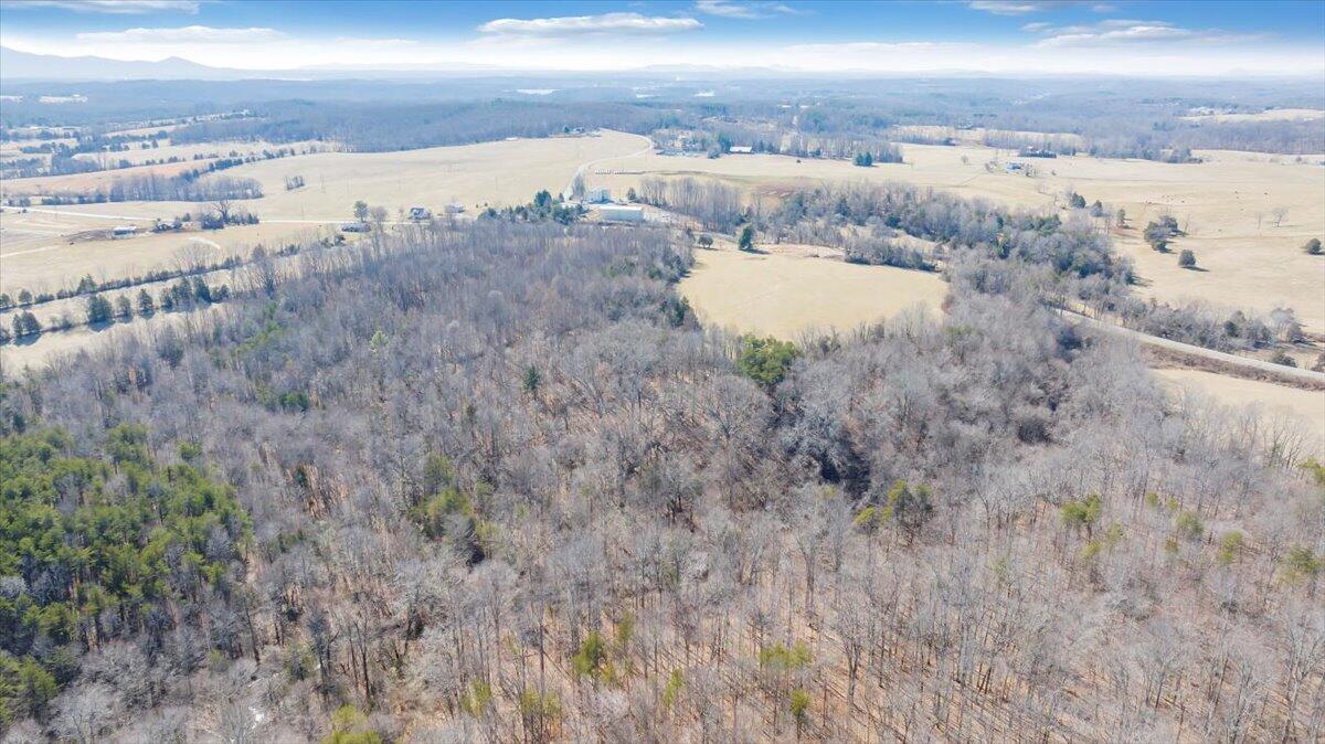5236 White House Road Moneta, VA 24121 - Photo 13 of 22 20240208131643790214000000-o