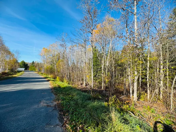 $58,500 | M2-l39-1 Pease Road, Mapleton, ME 04757