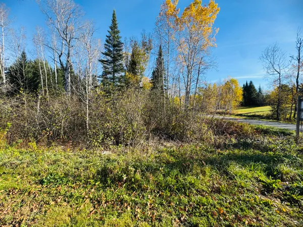 $58,500 | M2-l39-1 Pease Road, Mapleton, ME 04757