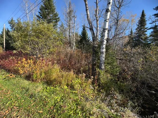 $58,500 | M2-l39-1 Pease Road, Mapleton, ME 04757