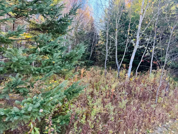 $58,500 | M2-l39-1 Pease Road, Mapleton, ME 04757