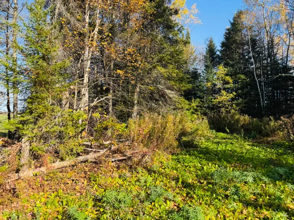 $58,500 | M2-l39-1 Pease Road, Mapleton, ME 04757