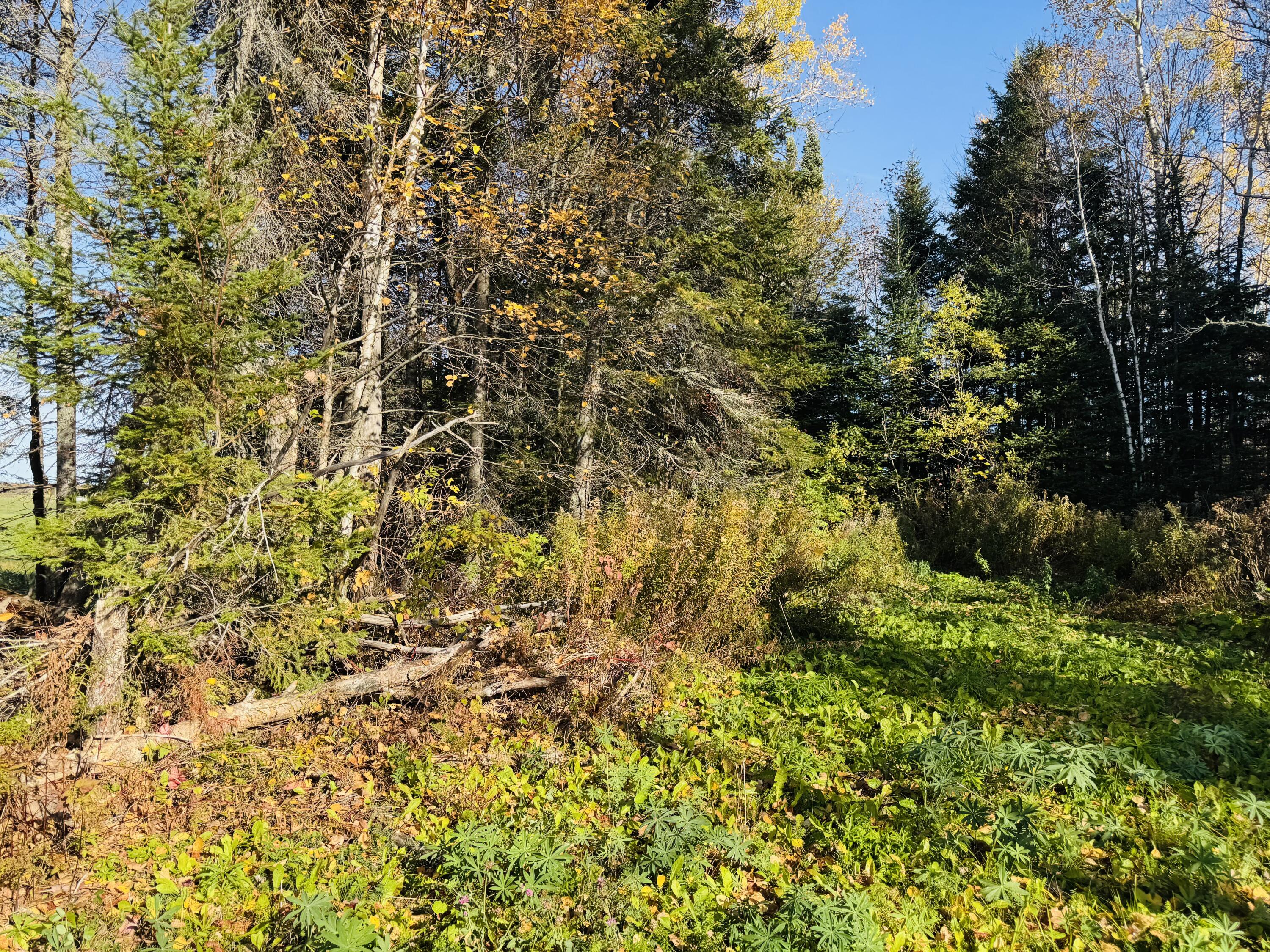 M2-l39-1 Pease Road Mapleton, ME 04757 - Photo 6 of 9 IMG_7492