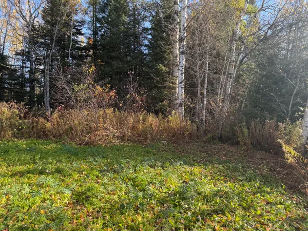 $58,500 | M2-l39-1 Pease Road, Mapleton, ME 04757