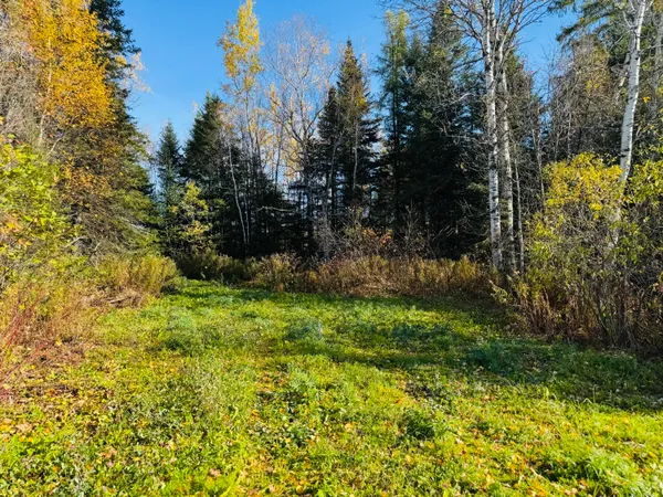 $58,500 | M2-l39-1 Pease Road, Mapleton, ME 04757