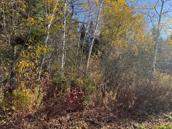 $58,500 | M2-l39-1 Pease Road, Mapleton, ME 04757