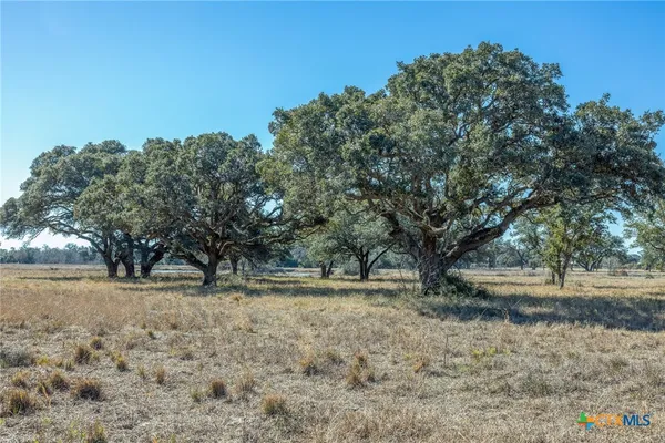 $110,600 | 0 Sophie Ranch Road, Inez, TX 77968