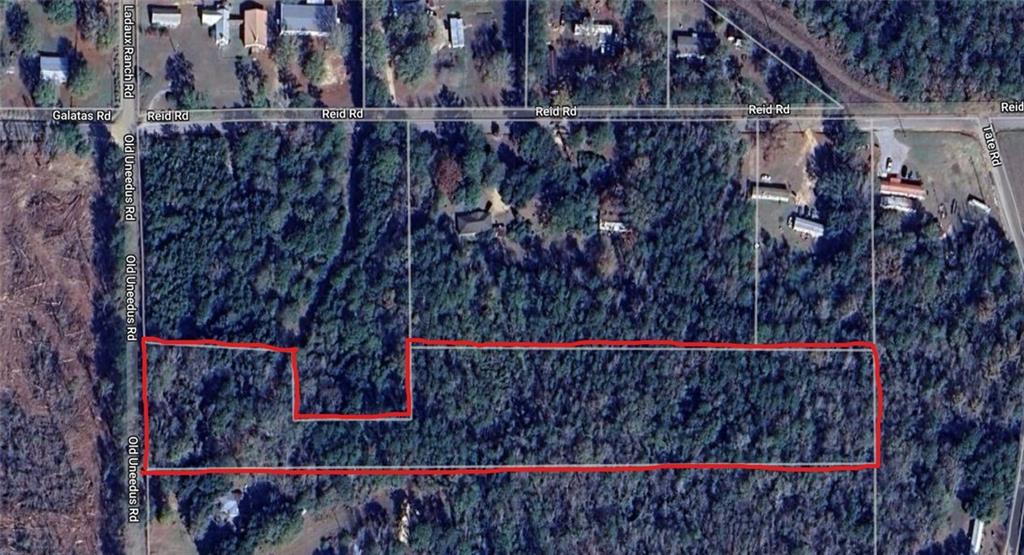 0 Old Uneedus Road Loranger, LA 70446 - Photo 3 of 4 Gallery Image 3