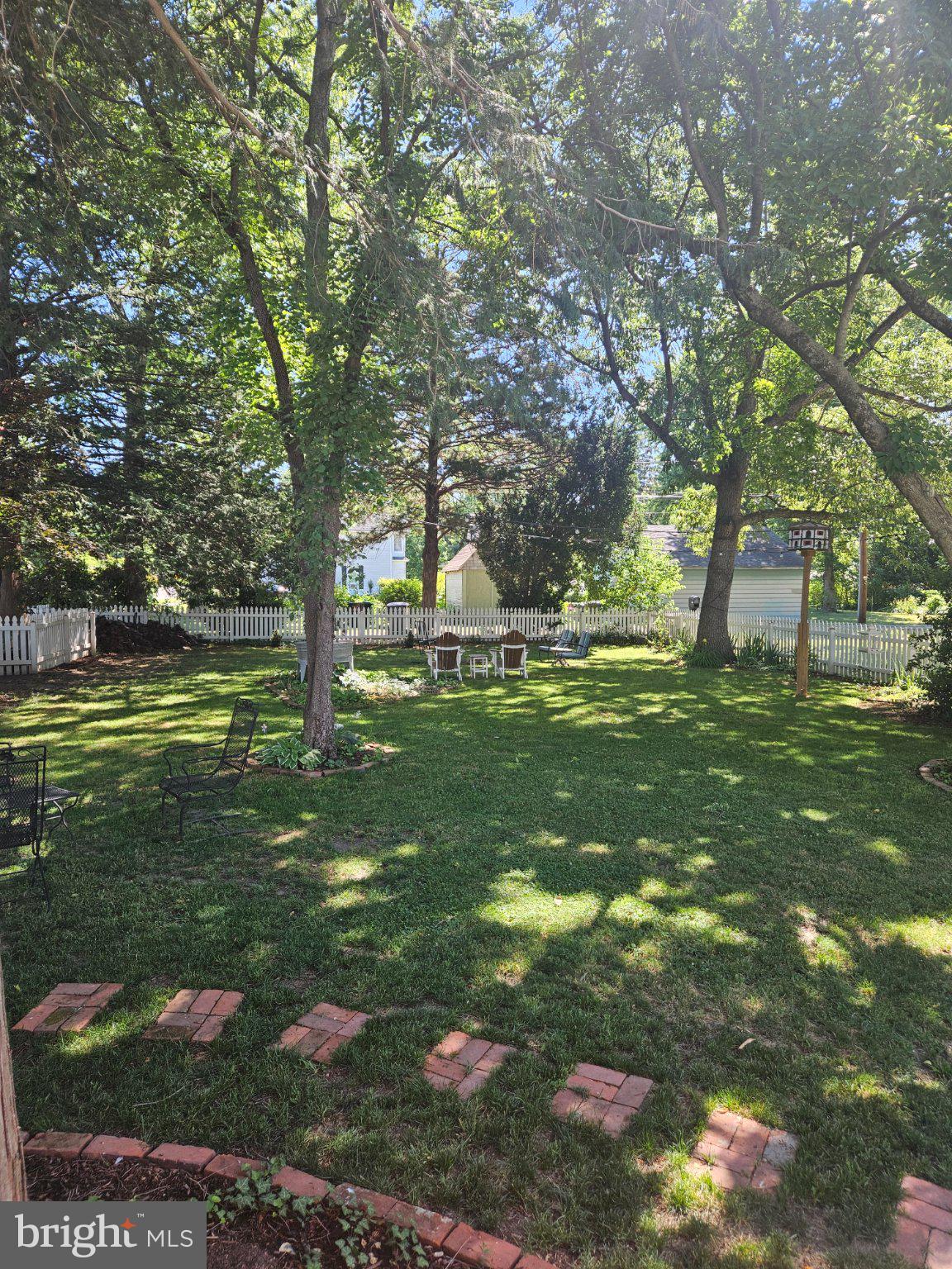 202 Central Avenue Ridgely, MD 21660 - Photo 19 of 22 Lush garden oasis under tall trees.