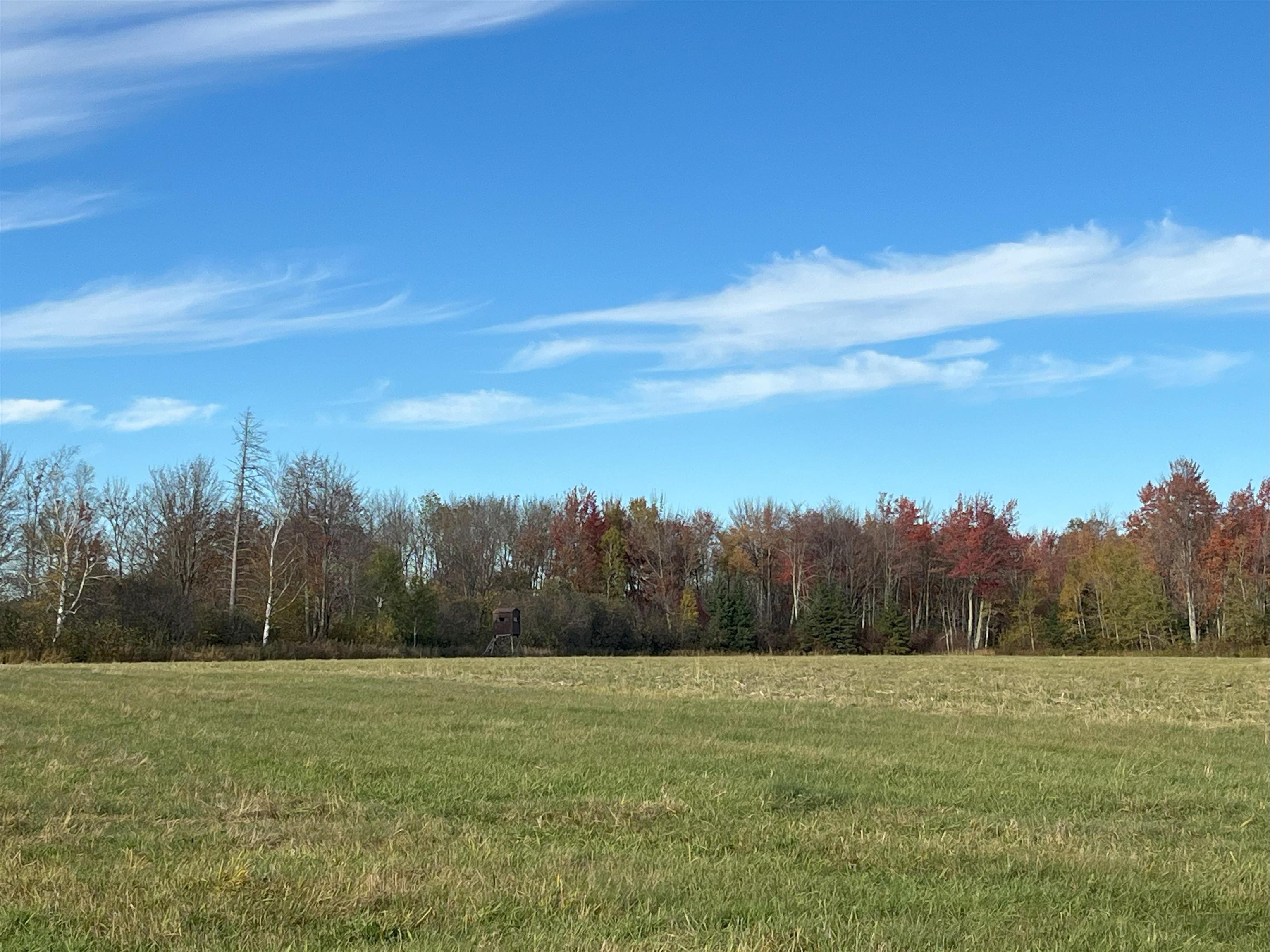 N5104 Pass Road Catawba, WI 54515 - Photo 7 of 31