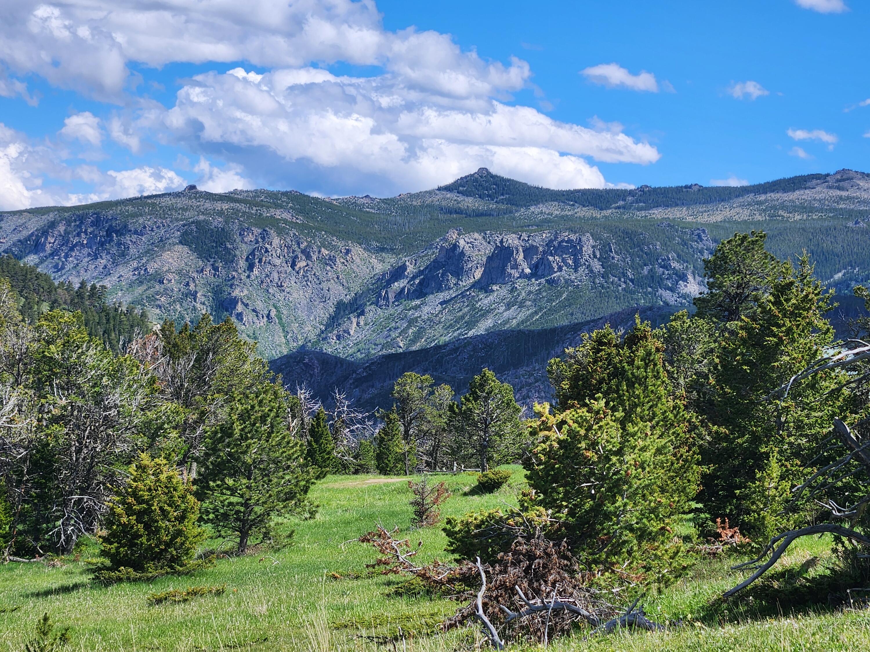 12 Blacktooth Road Big Horn, WY 82833 - Photo 15 of 25 Lot View to East