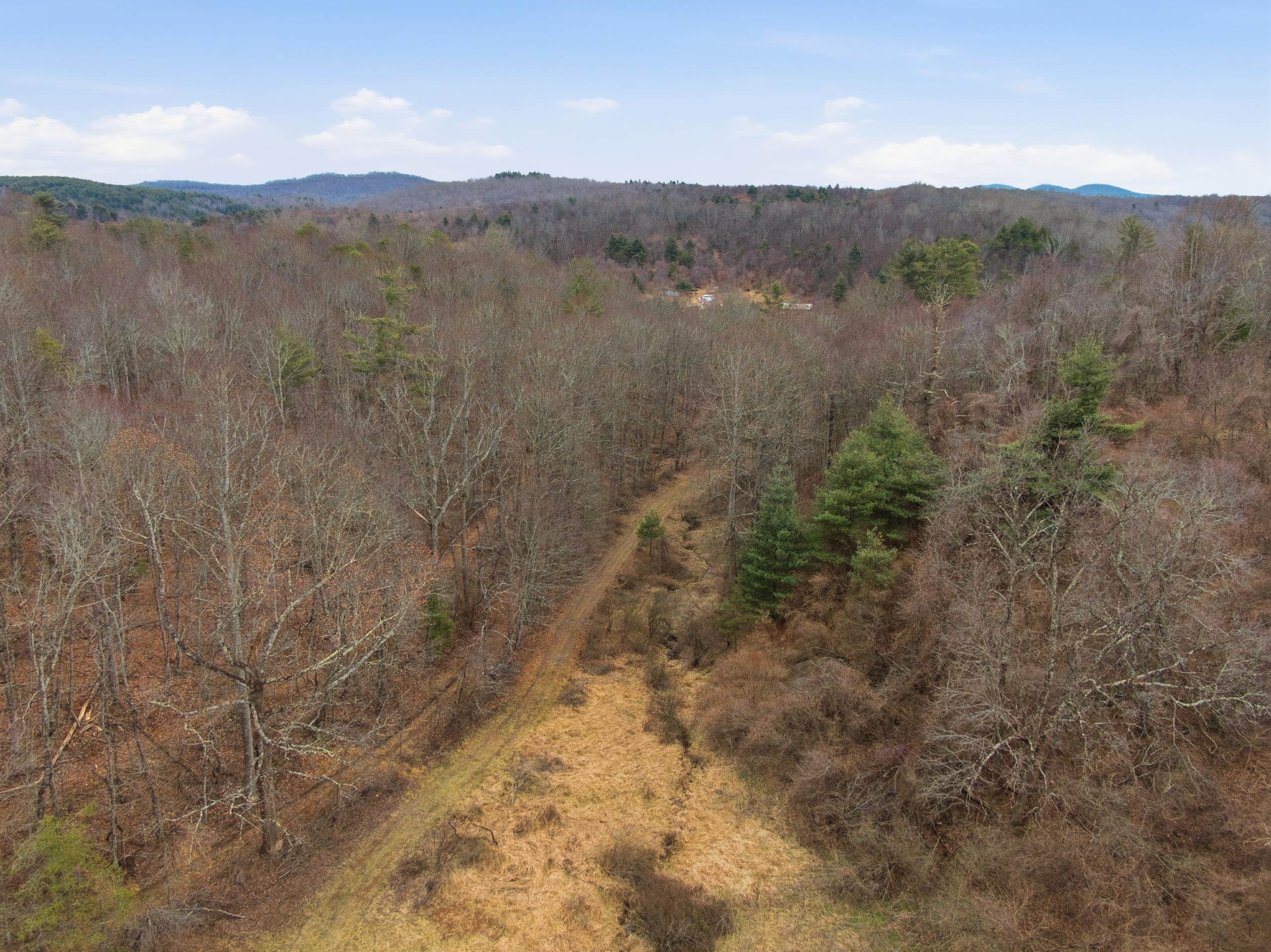 Tbd Dobbins Farm Road Northeast Floyd, VA 24091 - Photo 26 of 37 Gallery Image 26