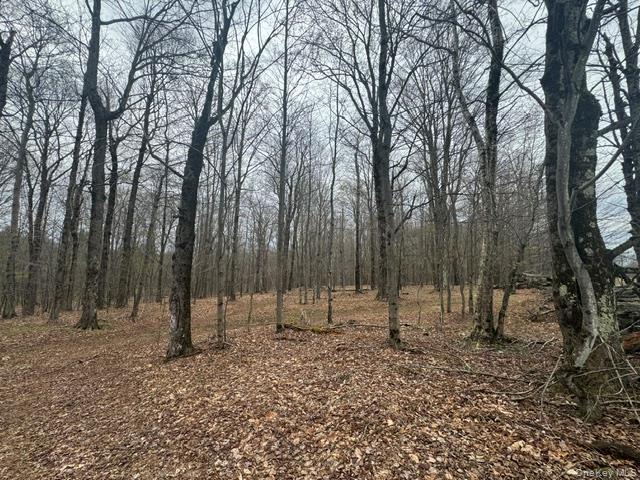 Lot 4 Shaver Hill Road Meridale, NY 13806 - Photo 11 of 45 Gallery Image 11