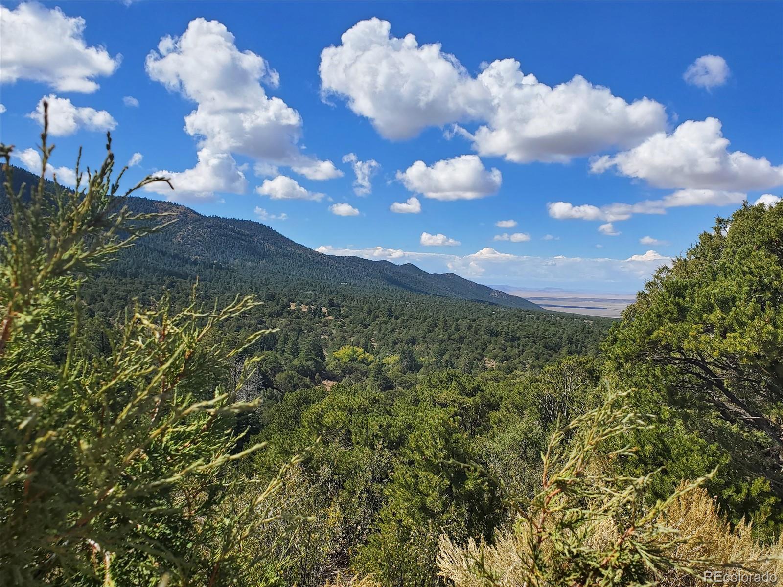 2668 Bateman Road Fort Garland, CO 81133 - Photo 13 of 32 Gallery Image 13