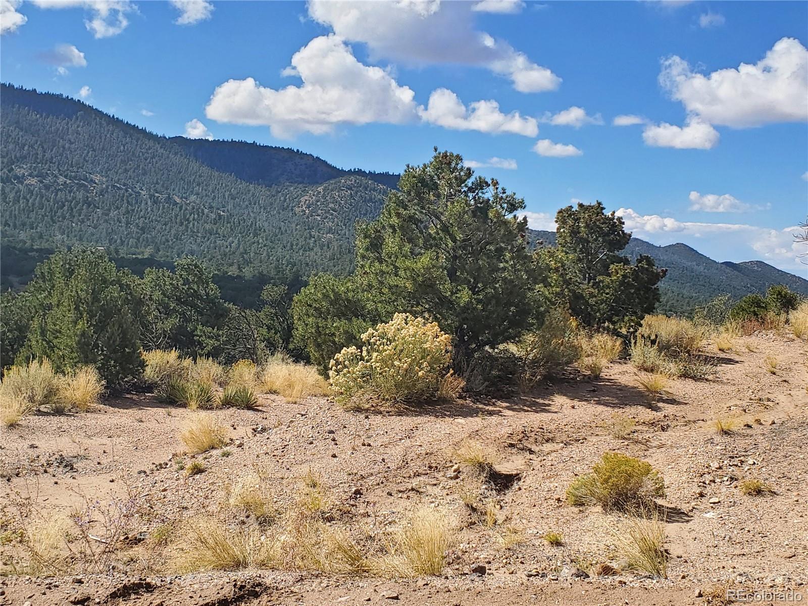 2668 Bateman Road Fort Garland, CO 81133 - Photo 19 of 32 Gallery Image 19