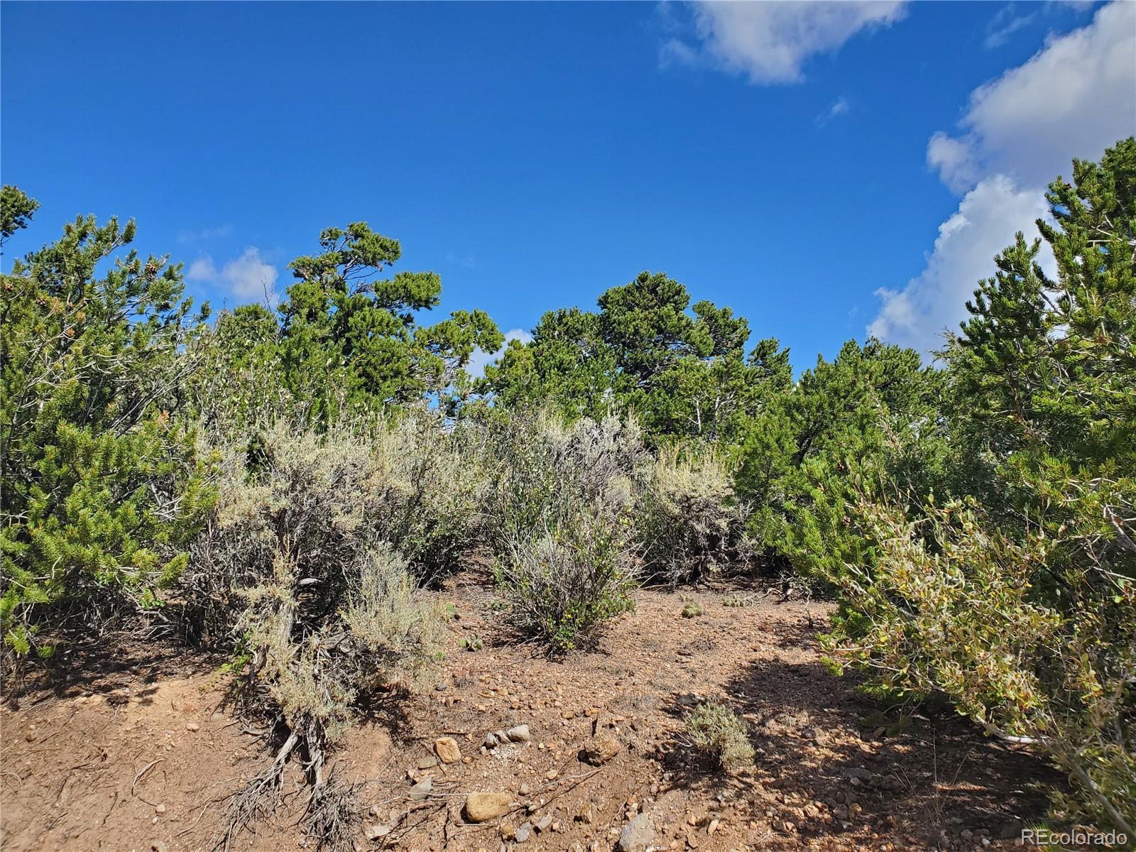 2668 Bateman Road Fort Garland, CO 81133 - Photo 22 of 32 Gallery Image 22