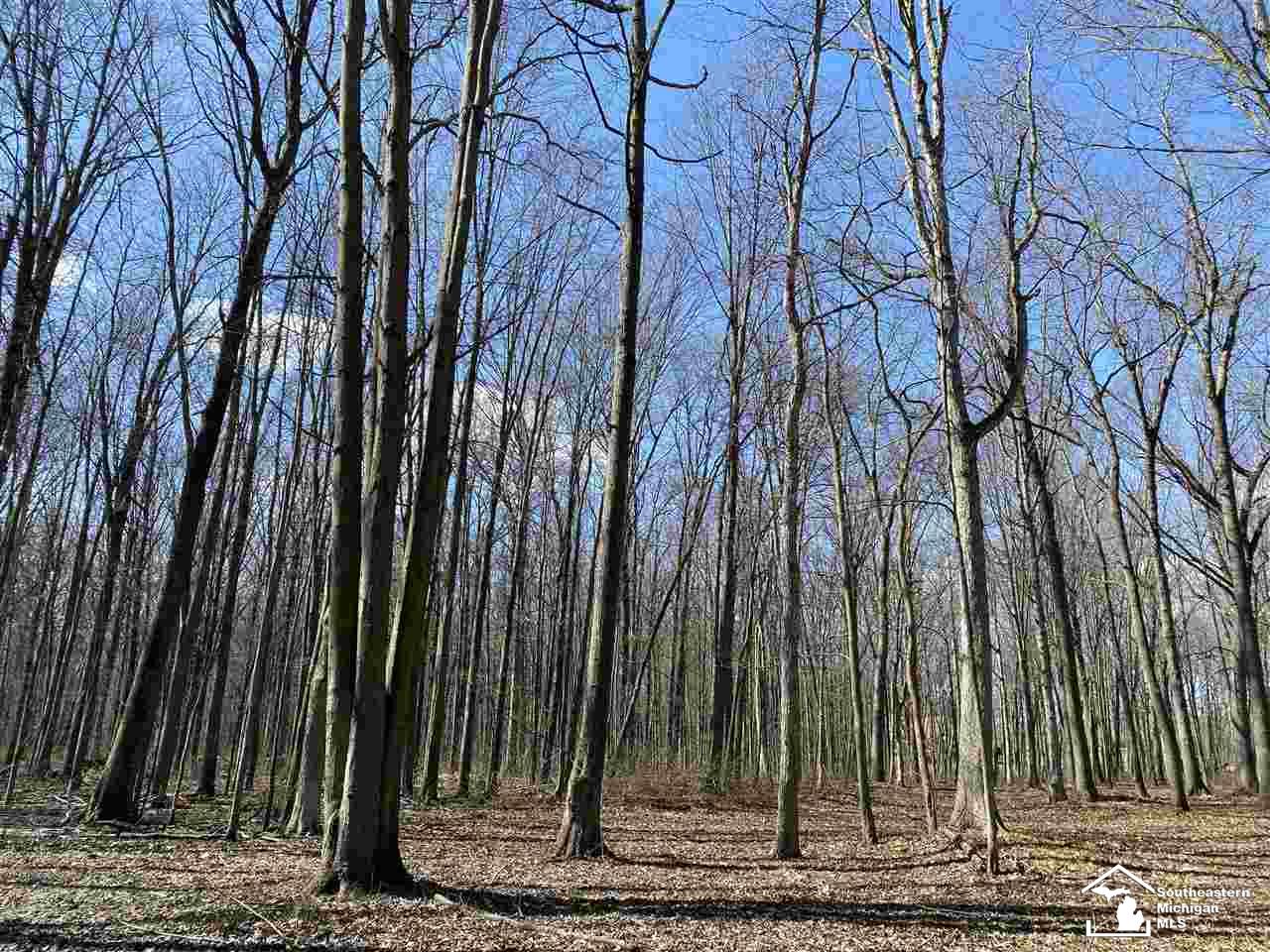 0 Yensch Road Maybee, MI 48159 - Photo 3 of 5 Gallery Image 3