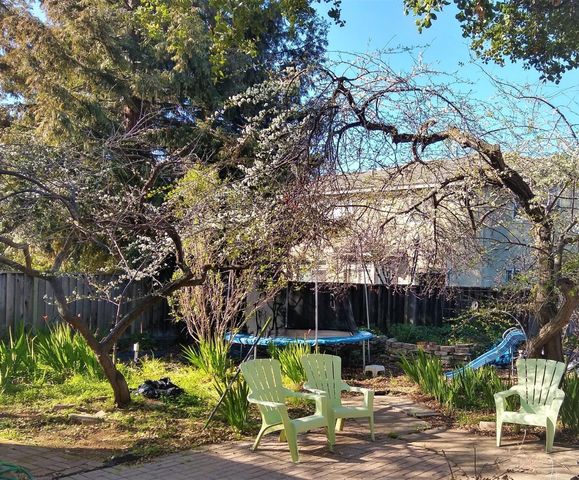 a view of a park that has a large tree