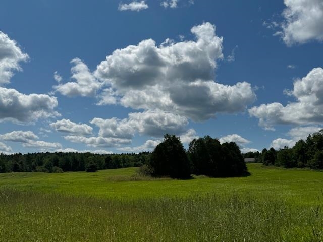 28 Edsall Road Greensboro, VT 05841 - Photo 9 of 60