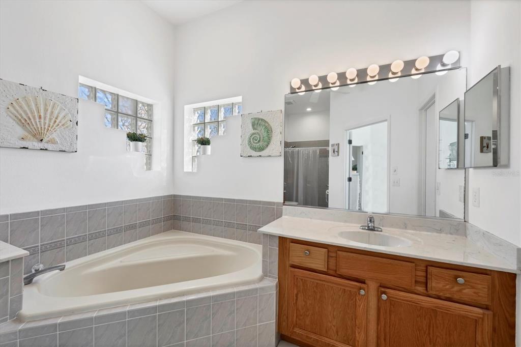 4115 Hemingway Drive Venice, FL 34293 - Photo 19 of 41 a bathroom with a bathtub a sink and mirror