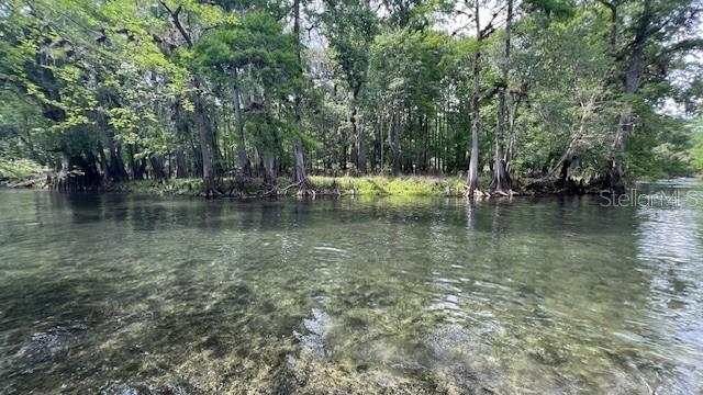 Southwest Bumble Street Fort White, FL 32038 - Photo 10 of 15 a view of lake with trees