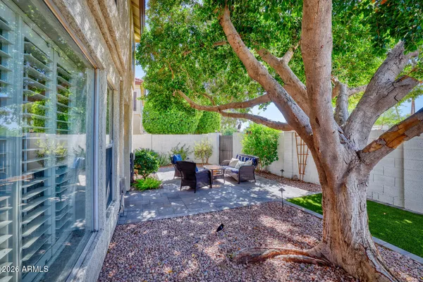 a view of a yard with a tree and a bench
