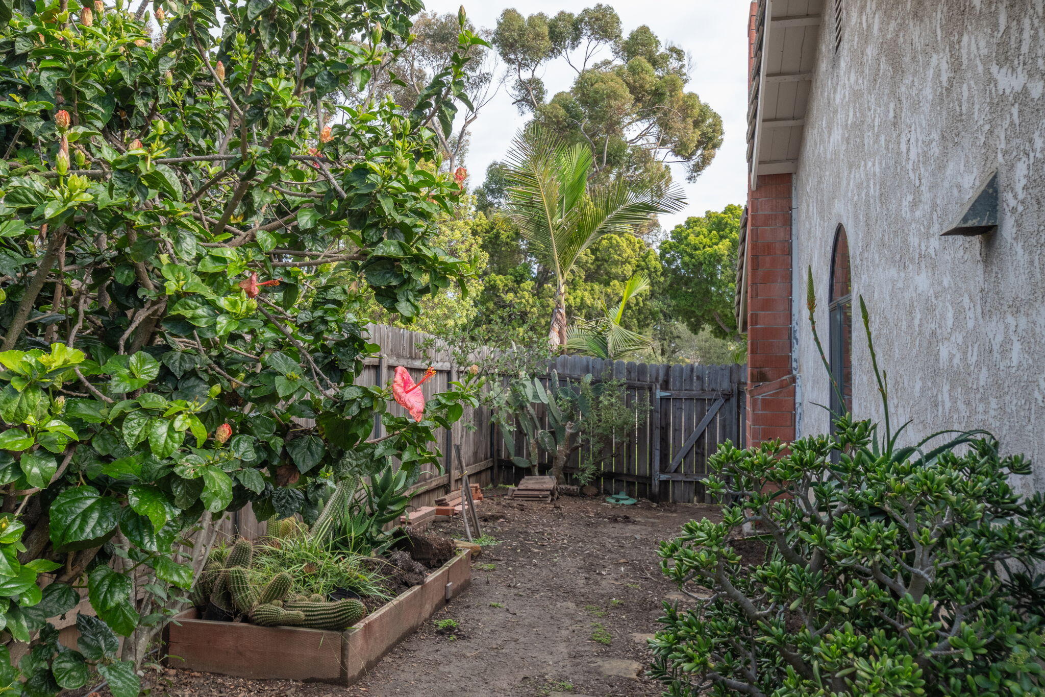 2363 Seagull Avenue Ventura, CA 93003 - Photo 34 of 37 a backyard of a house with lots of green space