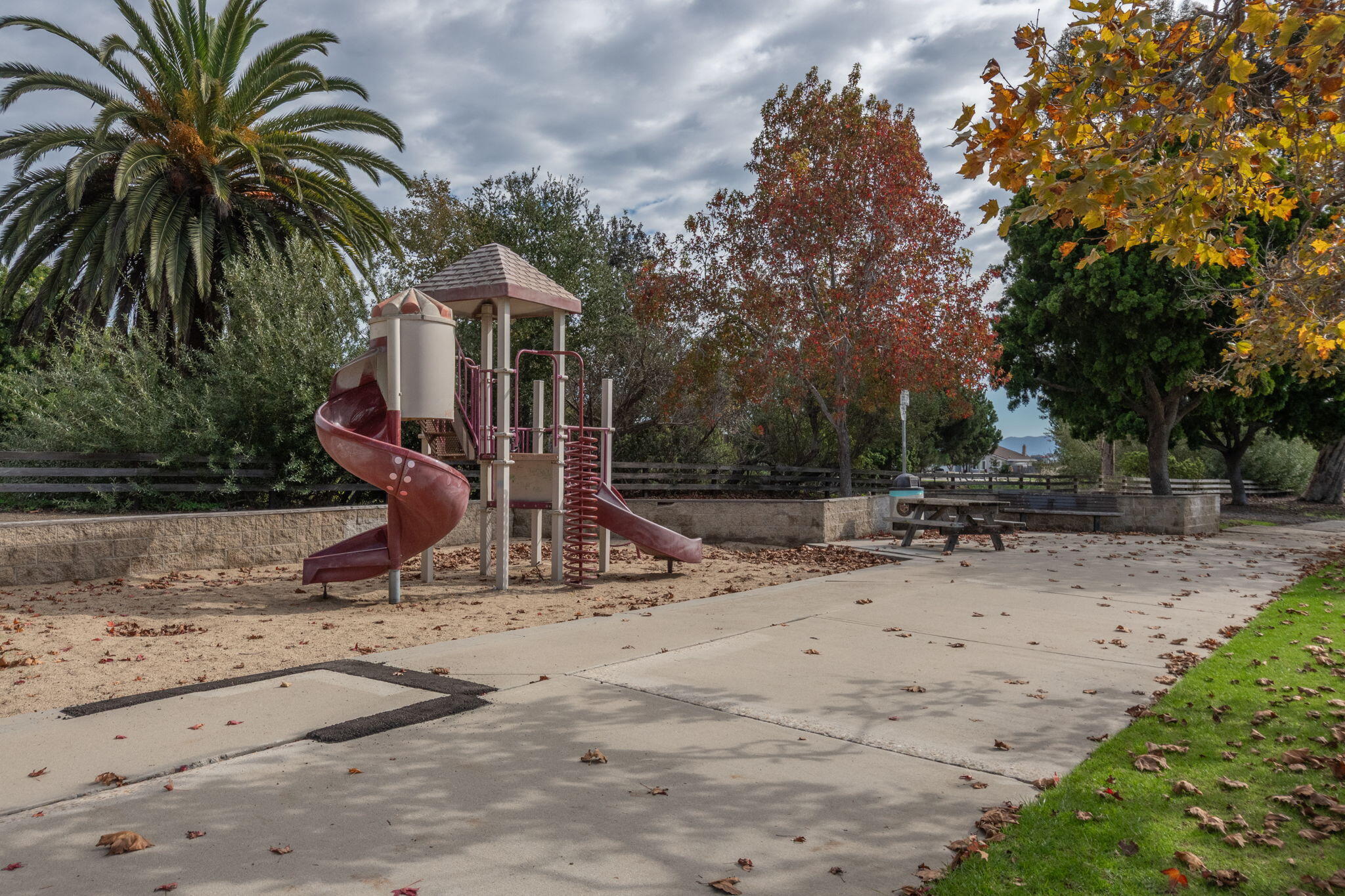2363 Seagull Avenue Ventura, CA 93003 - Photo 37 of 37 a view of backyard space with palm trees